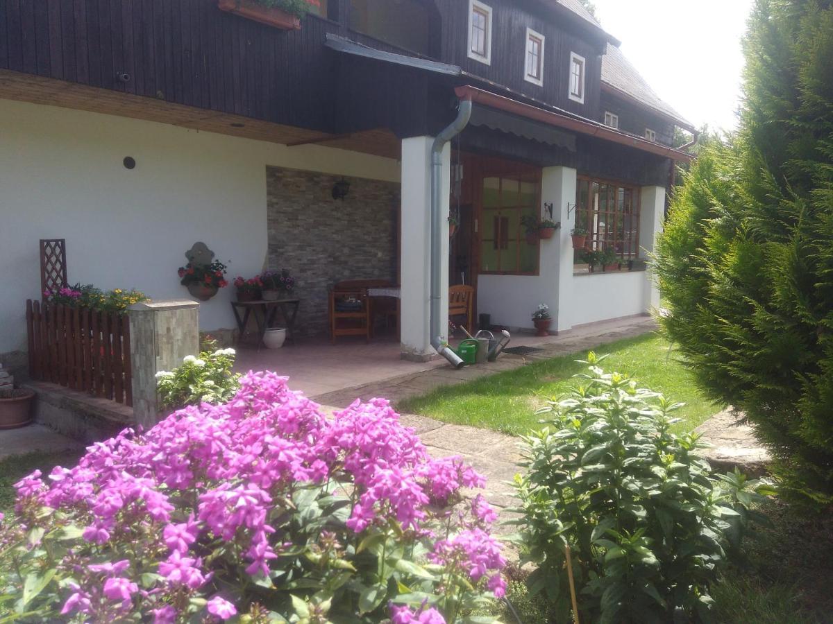 Ubytovani U Sviraku Srbská Kamenice 外观 照片